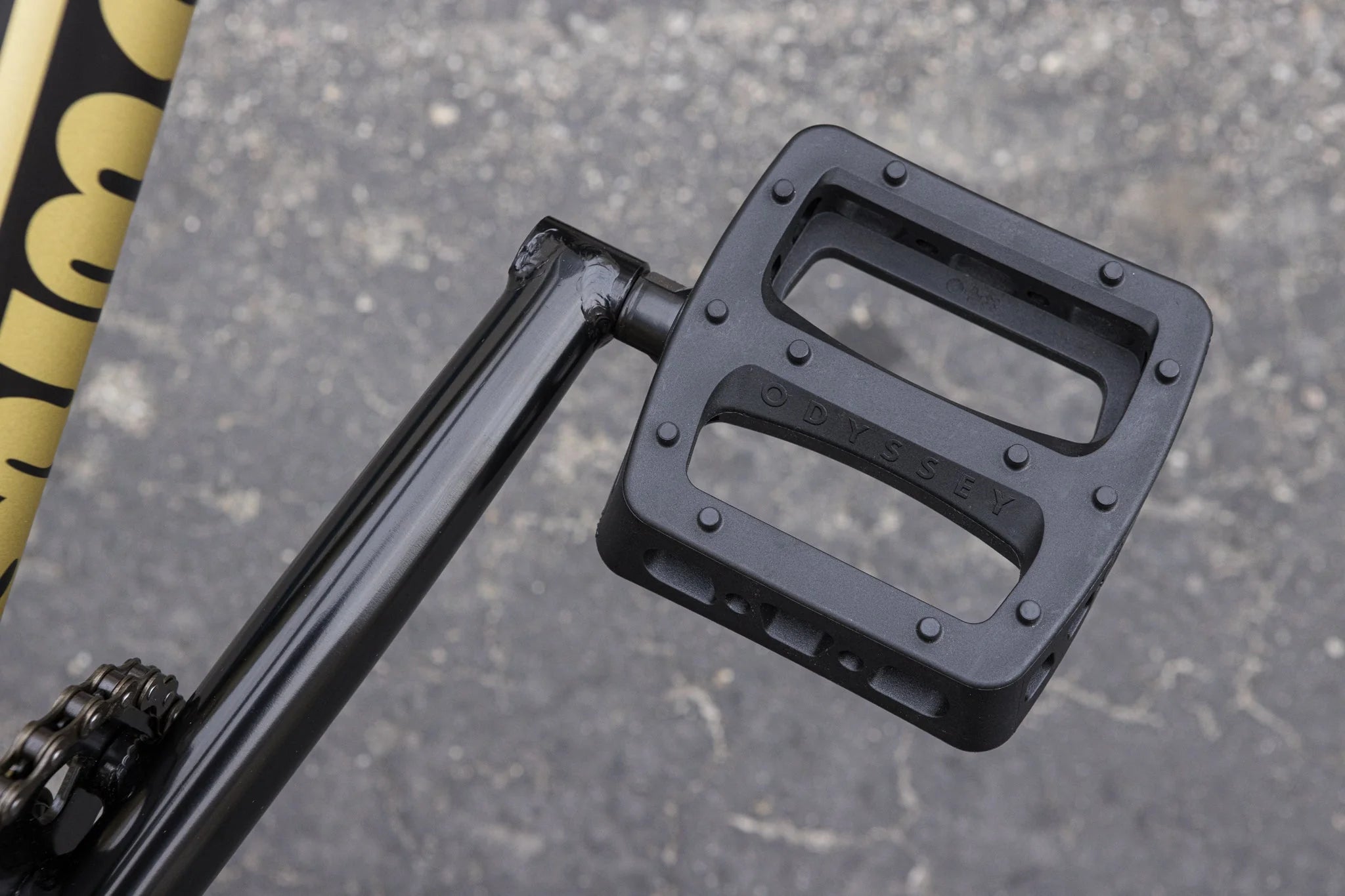 Sunday Forecaster ‑ Broc Raiford Signature