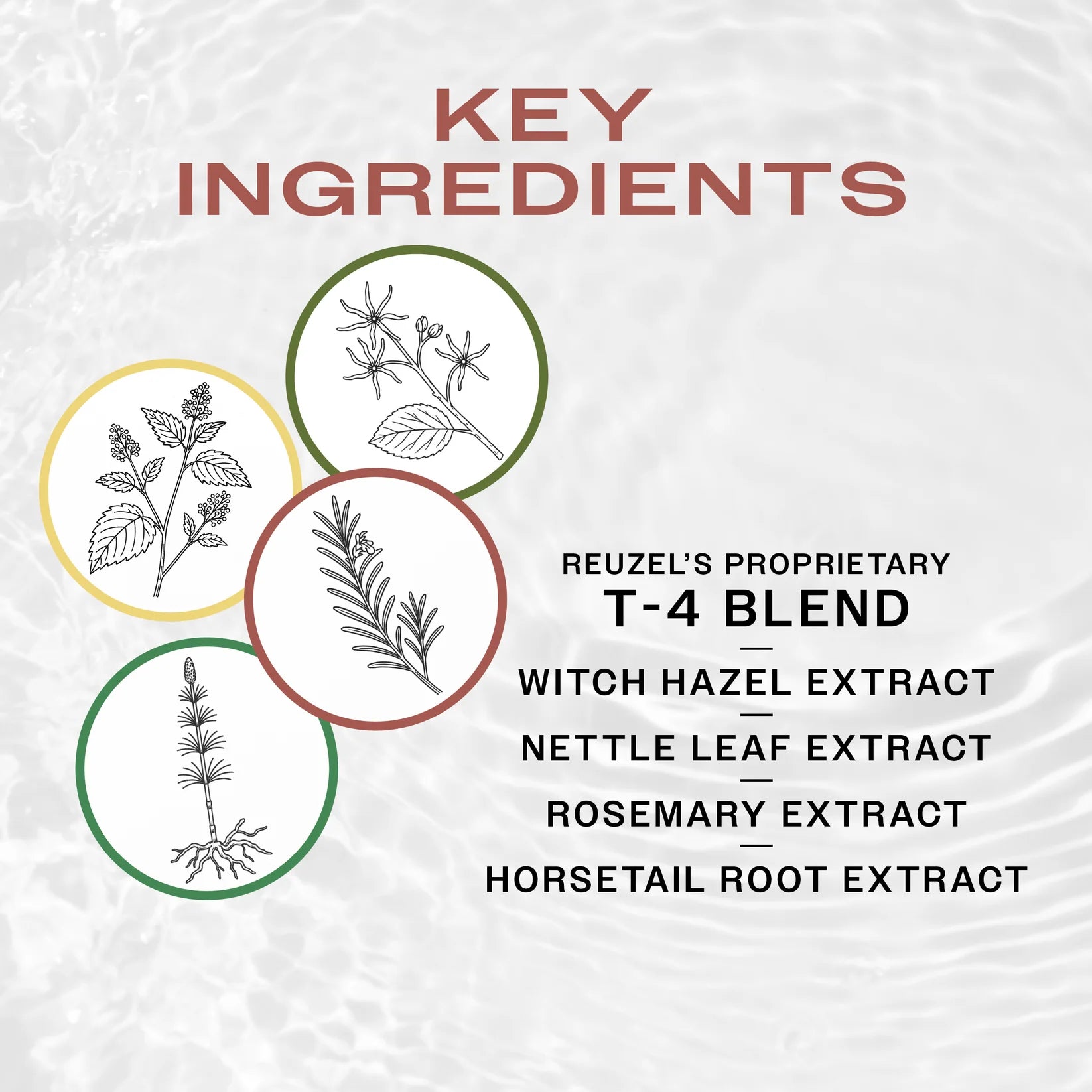 Reuzel Beard Foam - Wood & Spice